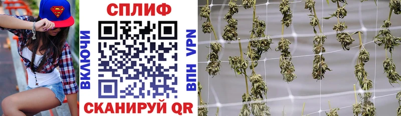 Купить где  Мамоново  Канабис OG Kush 